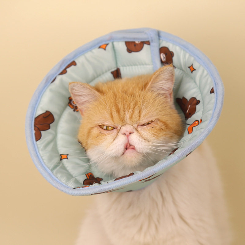 伊丽莎白圈猫绝育项圈防舔猫围脖猫咪脖圈颈圈小猫头套狗宠物用品