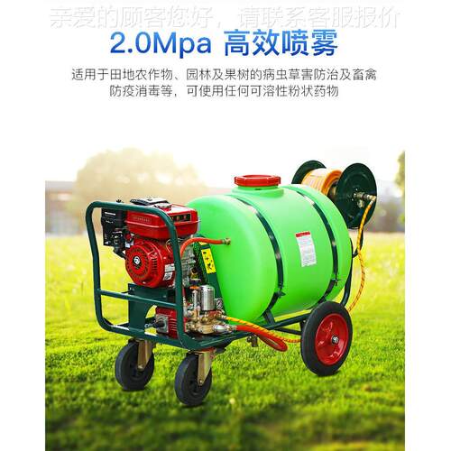 厂家园虫手高压喷雾器 农用麦LYG-40地果大棚打药机 160L园林杀推