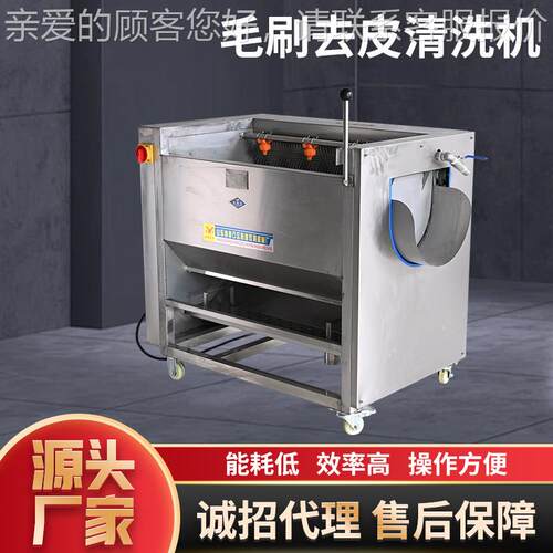 全自GRP动果蔬毛刷清洗土莲藕地瓜根茎类设加工 豆备毛刷去皮清洗