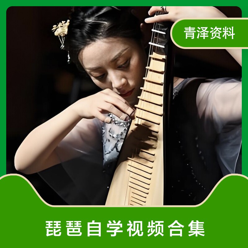 琵琶初级课程入门演奏零基础在线学习乐器培训自学视频素材合集