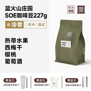 鼎饮圣伊西德罗精品冷萃手冲意式 蓝火山庄园 SOE咖啡豆227g