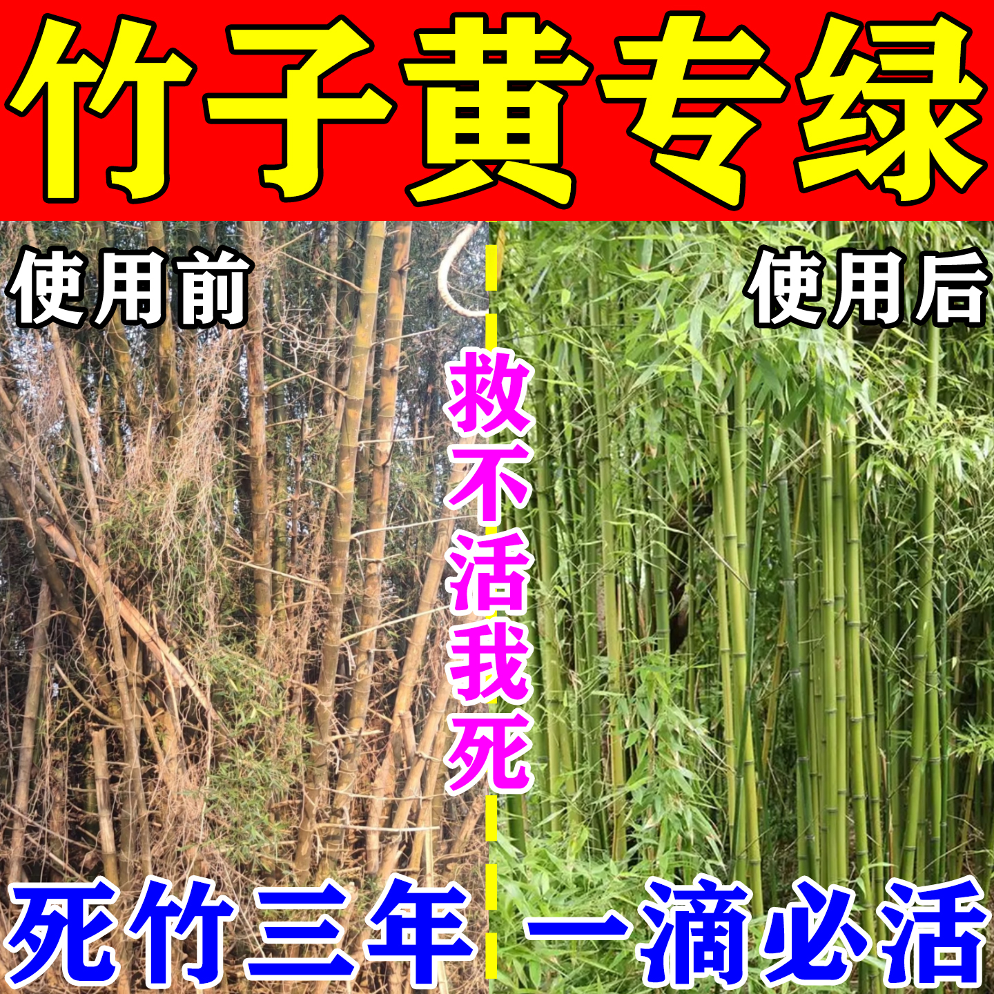 竹子专用营养液植物强力生根粉