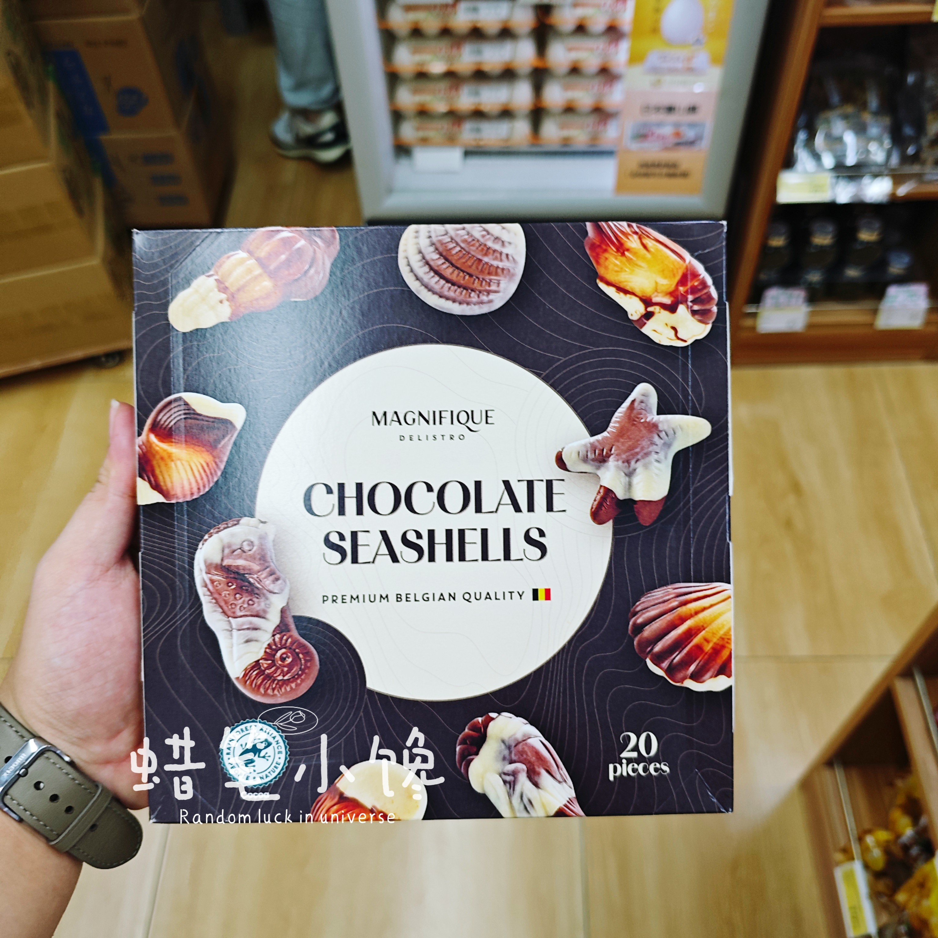 香港代购 进口比利时 MAGNIFIQUE 贝壳牛奶巧克力250g礼品礼盒装