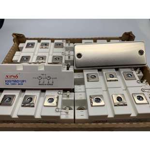 X2G100SD12P3 X2G100SD12P1 X2G75SD12P1 X2G50SD12P1
