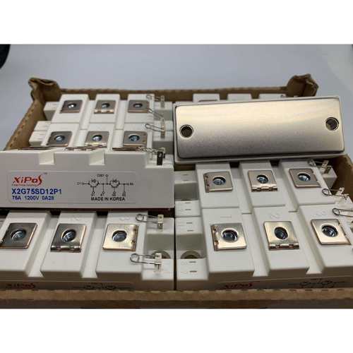 X2G75SD12P1 X2G50SD12P1 X2G100SD12P1 X2G100SD12P3