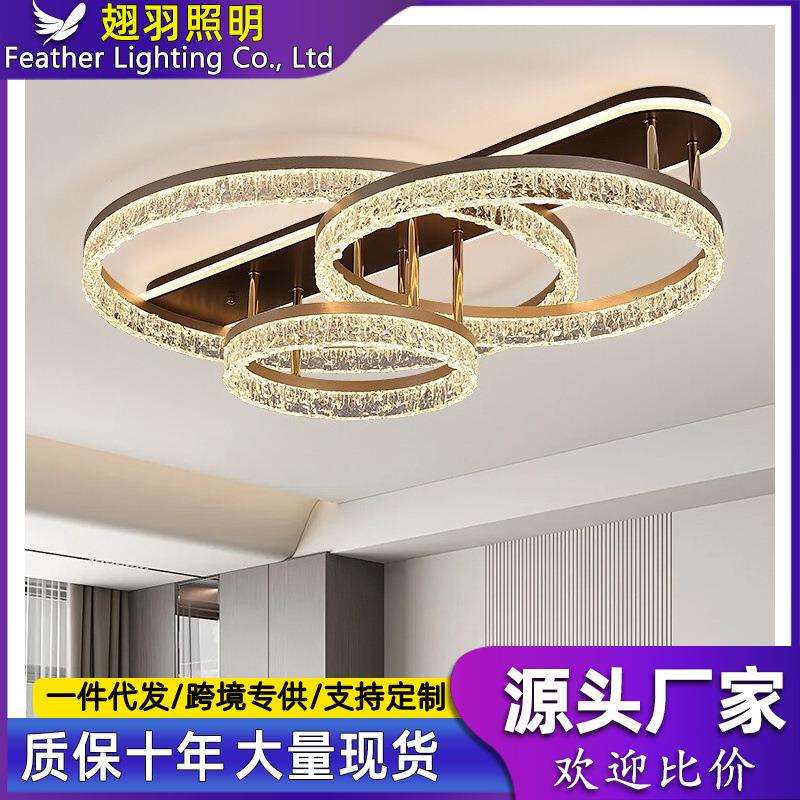 客厅吸顶灯2024新款现代简约轻奢圆环设计师艺术极简卧室灯具