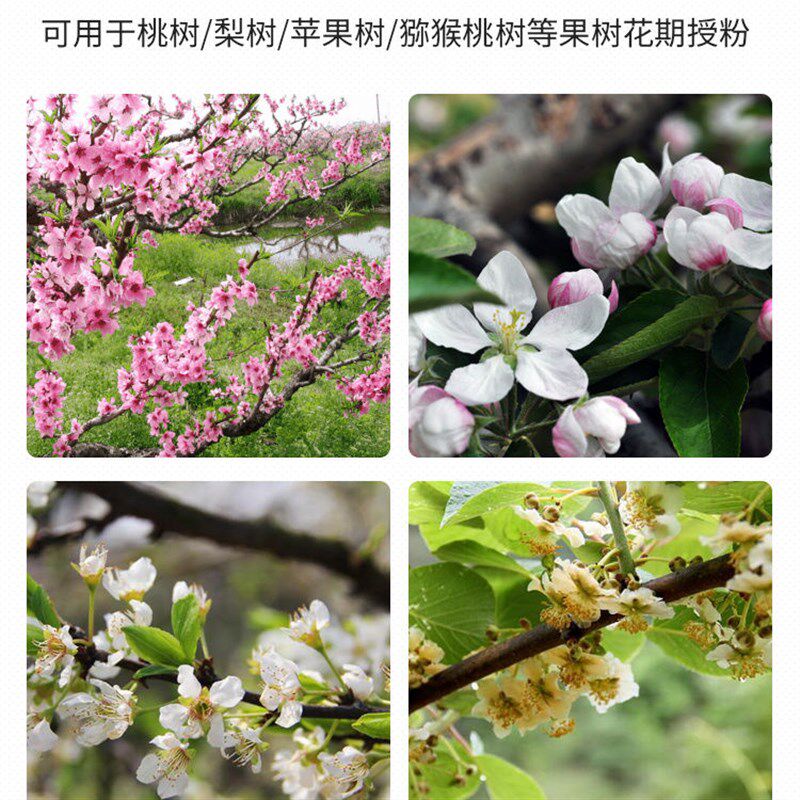 热销新款果树花粉授粉器 桃树梨树猕猴桃西红柿番茄杆式点花授粉