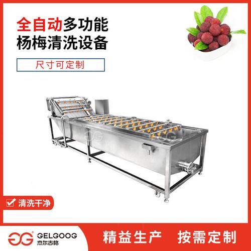 新型全自动连续洗果机 全自动洗果风干机械梅子清洗设备