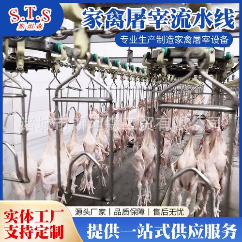 鸡鸭鹅全自动宰杀线 自动杀鸡设备 鸡鸭鹅自动屠宰脱毛机