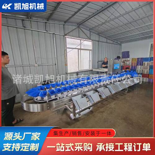 鳕鱼串重量分选机 鱿鱼自动称重分级机 多功能检重分级秤厂家