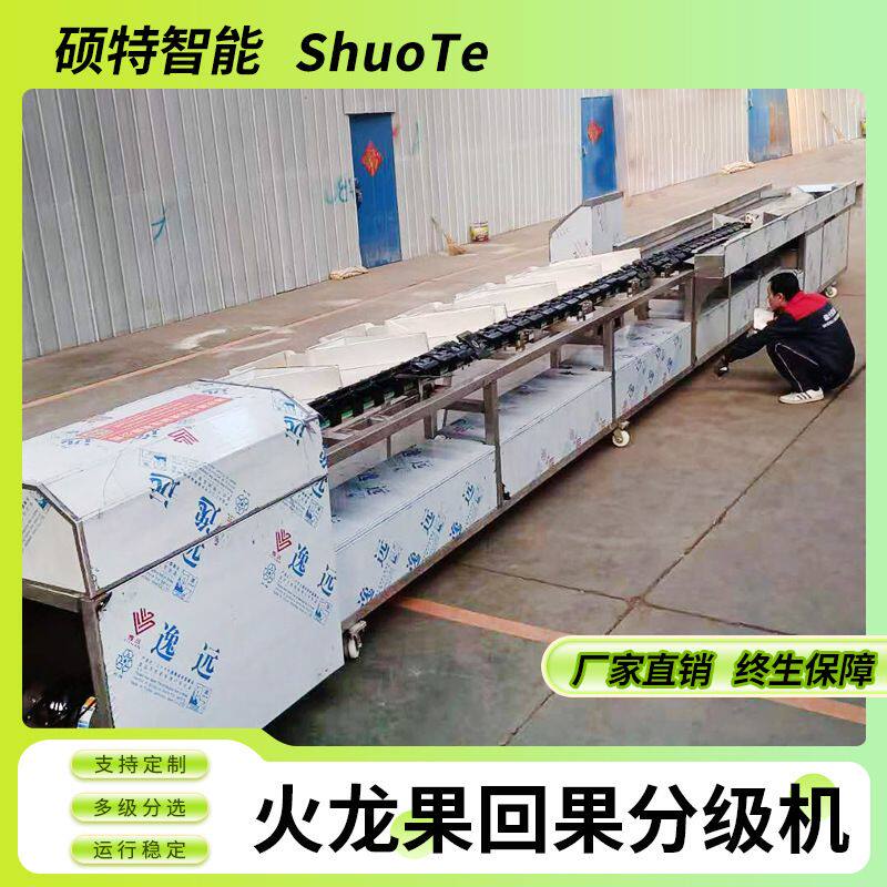 水果分选机 称重式柑橘分拣机 火龙果重量等级分级机 橙子选果机