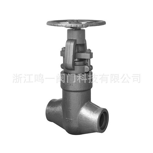 锻造压力自密封闸阀带平面轴承2500LB压力自紧式压力自密封闸阀