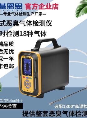 PTM600-H2基恩思高浓度氢气检测仪氢气泄漏仪报警仪纯度测试仪器