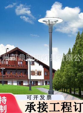 LED庭院灯户外路灯小区铝制30W单头现代现货 防水强光防腐