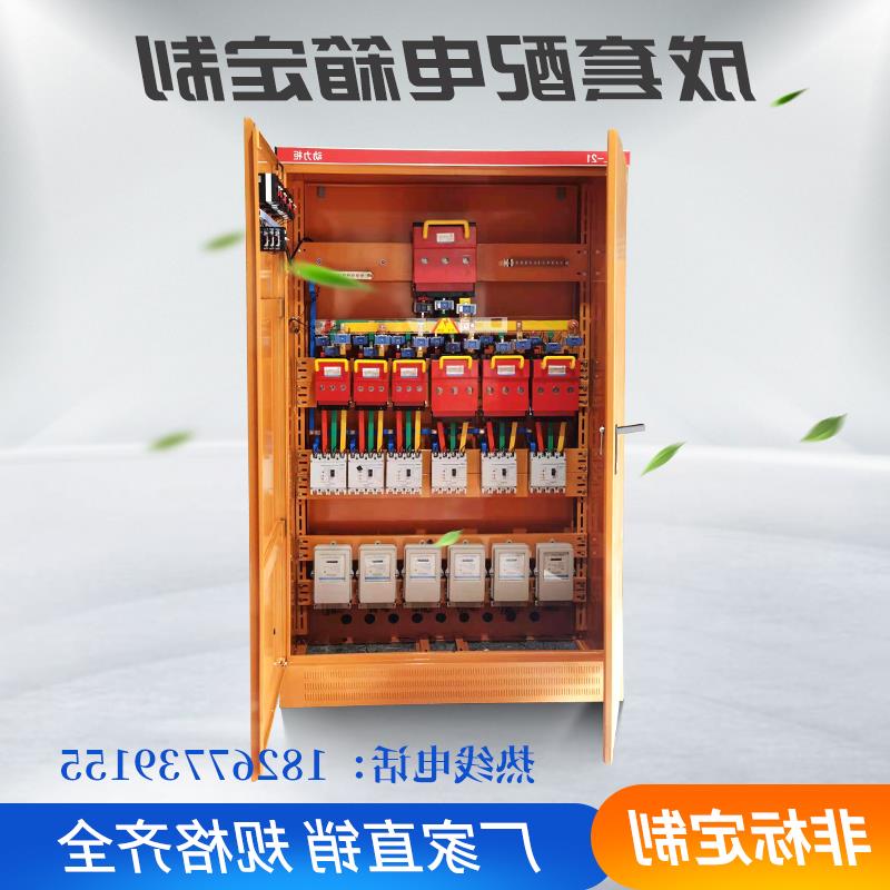 爆制定低压成套配电柜工地临时分线柜双电源配电箱三相四线配电柜