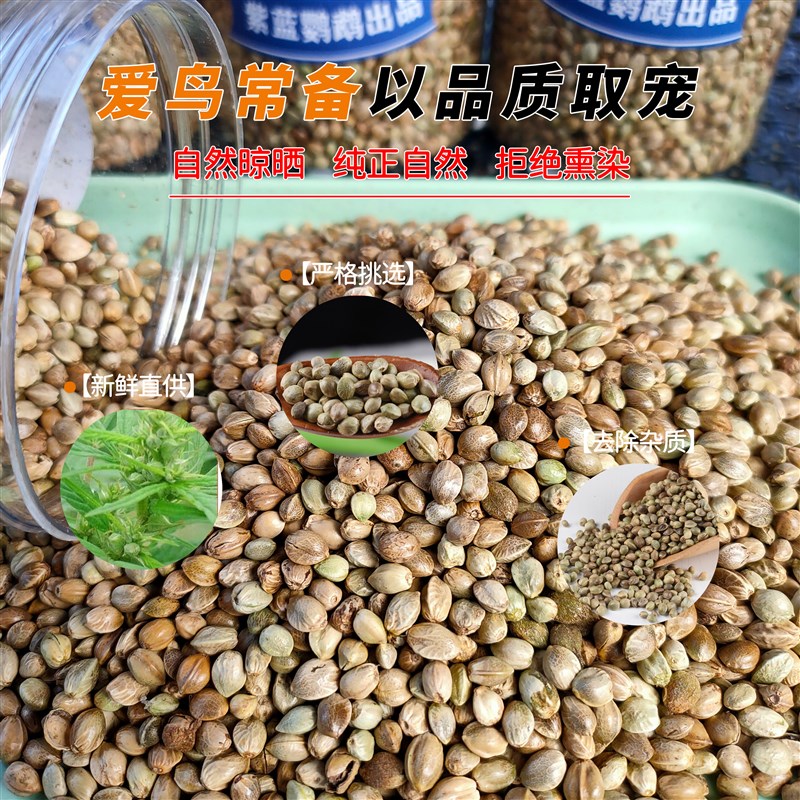 大颗粒纸壳麻子油葵火麻仁鹦鹉训鸟奖励粮饲料仓鼠松鼠粮鸽粮鸟食