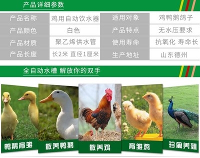养鸭鹅鸡水壶自动小鸡喂水器喝水鸡用饮水器水槽桶养殖场设备耐用