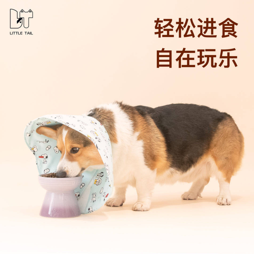 犬猫伊丽莎白圈防舔防咬绝育手术头套轻薄防水加深可调节柯基柴犬