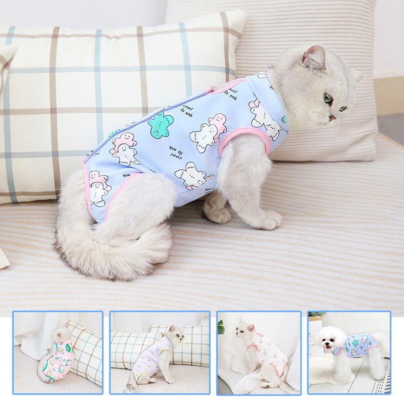 宠物衣服加厚猫咪手术服绝育服饰可爱狗狗清新喵咪保暖防寒