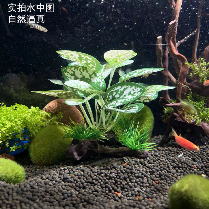 鱼缸造景装饰仿真水草叶沉木仿真植物海草摆件仿真绢叶水族箱装饰