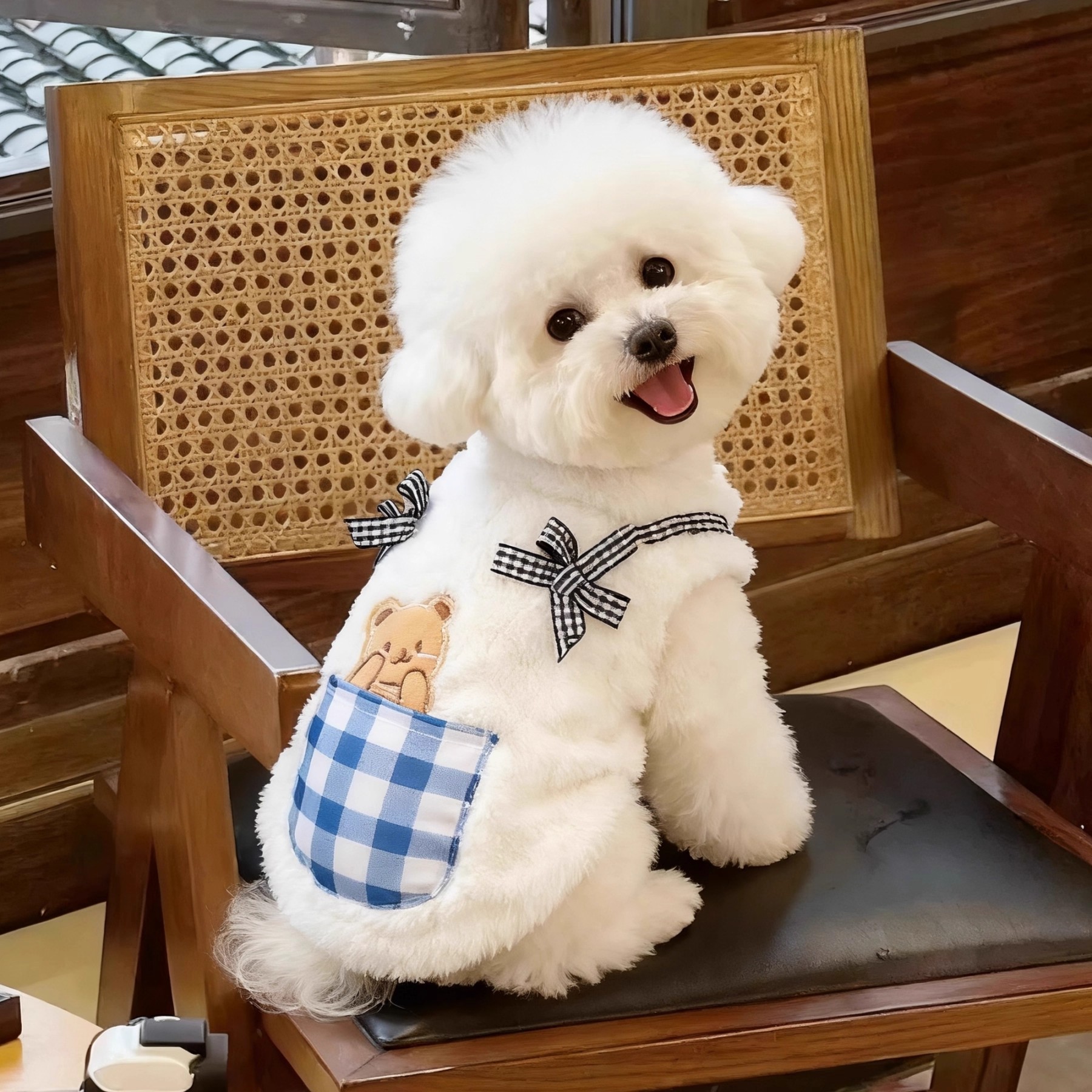 猫咪衣服秋冬季布偶猫保
