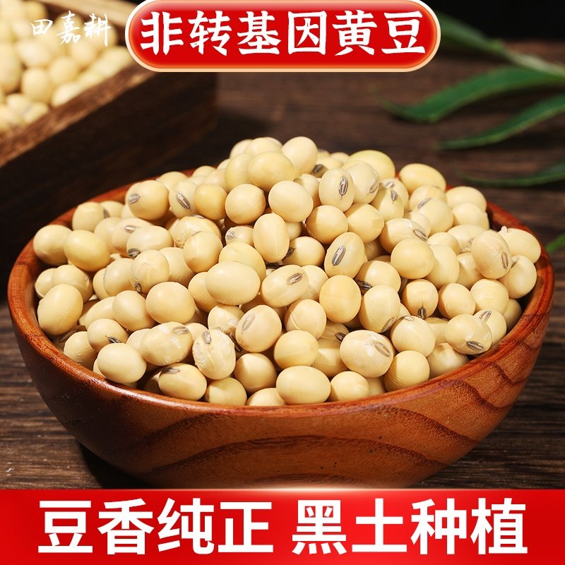 2025新黑龙江非转基因黄豆大生芽打豆浆土老品种黑肚脐椭圆真空装