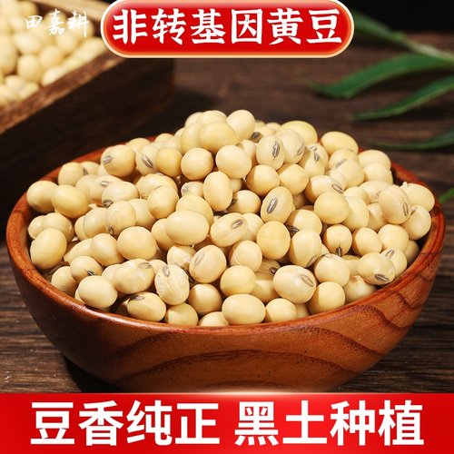 新黑龙江非转基因黄豆大生芽打豆浆土老品种黑肚脐椭圆真空装