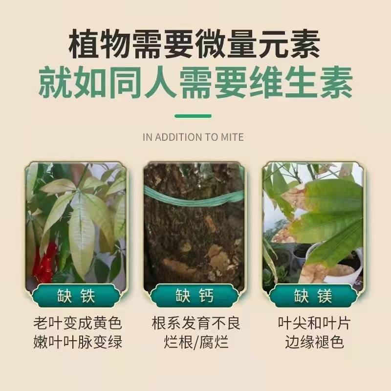 青为上物苏保战士植永3号绿植序诺时花肥活力素营养液旗舰店