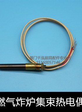 裕富宝配件科能INTECH西式燃气炸炉炸锅集束热电偶感应线燃烧堆