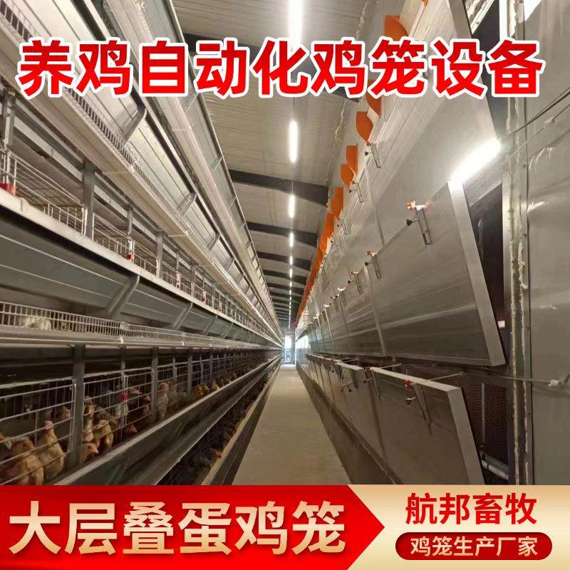 供应全自动大层叠蛋鸡笼大型鸡场养鸡设备自动化捡蛋清粪蛋鸡笼