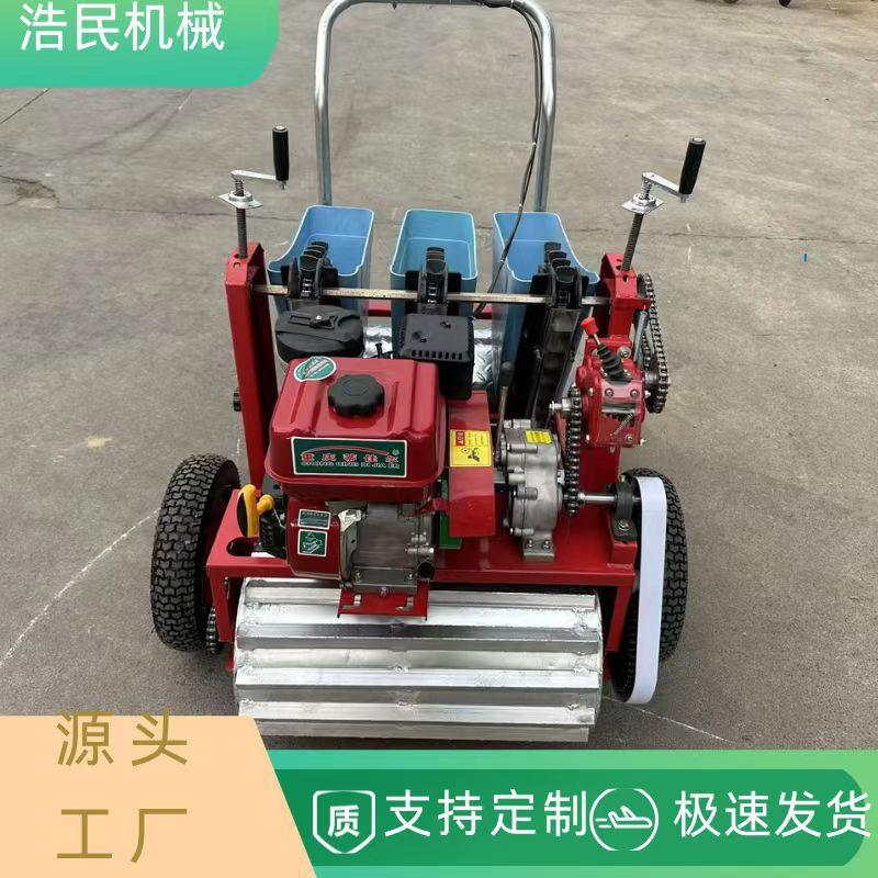 大蒜播种机新款手推式种蒜种蒜机机器小型家用手推电动种植机