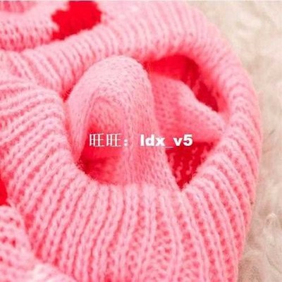 Stylish Comfortable Pet Dog Cat Wool Clothes Hoodie,