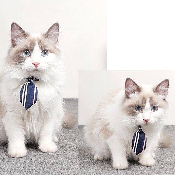 Fashion Dog Collar Adjustable Buckle Universal Dog Necktie