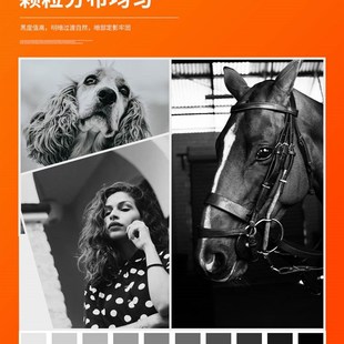 LaserJet W1002YC硒鼓HP 适用惠普m72625粉盒 惠普M72625dn粉盒