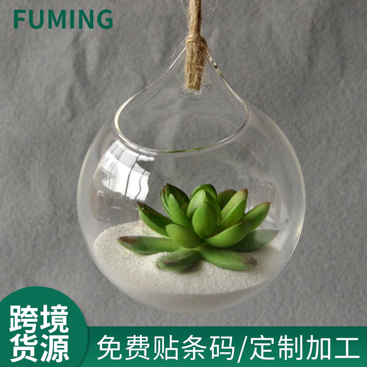 悬挂玻璃壁挂鱼缸花瓶透明圆形水多肉植物