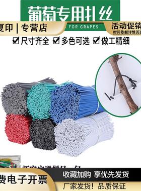 葡萄扎丝新款白色绿圆扁一万根捆绑枝条猕猴桃扎线火龙果扎带园林