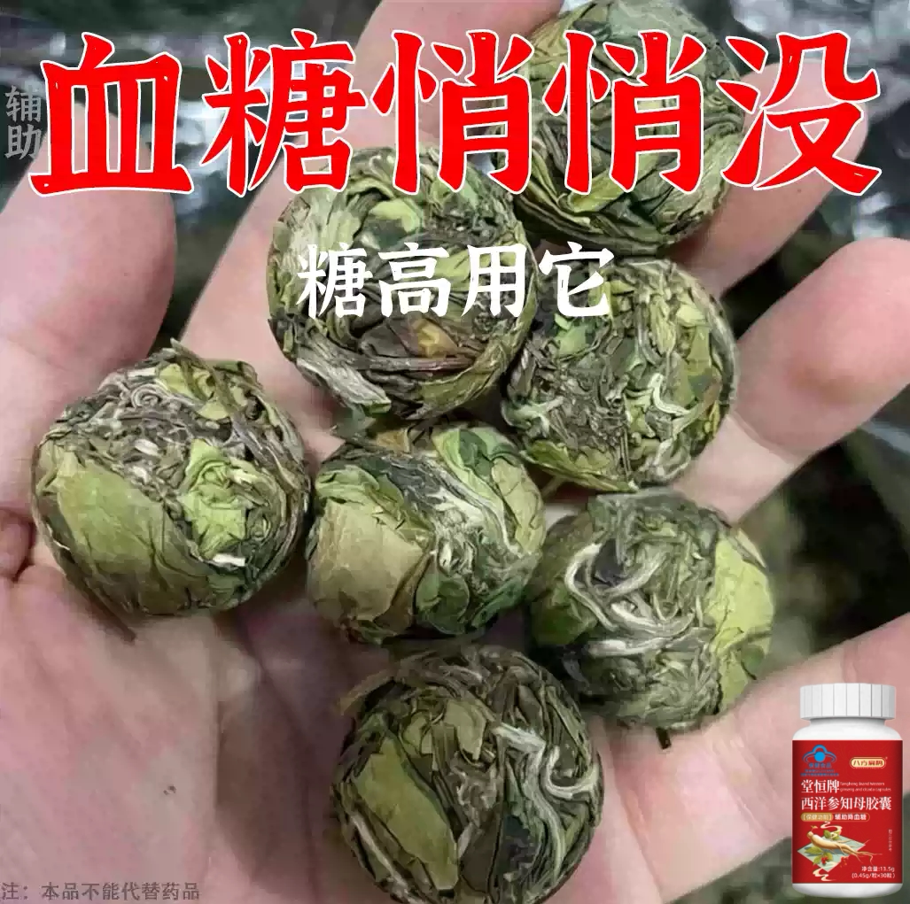 糖高就吃它口干口渴糖高眼睛花中老年成人用西洋参知母胶囊