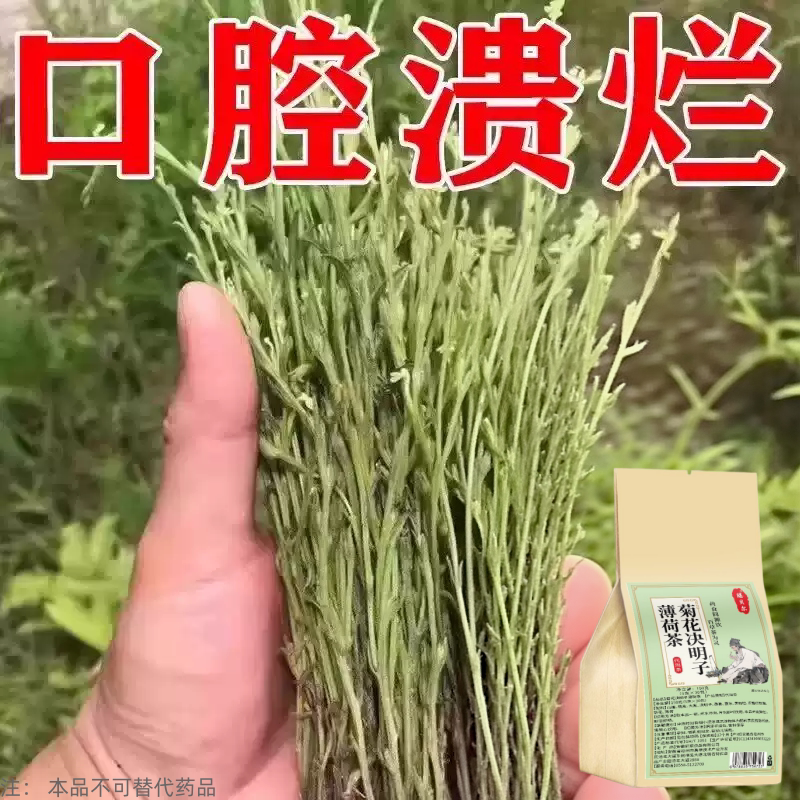 长期火气大口舌生疮牙龈肿痛上火起泡嘴唇溃烂经常上火决明子薄荷