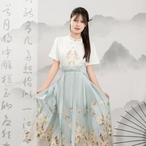 套装梨花满庭原创绣花交领女明制国风飞机袖日常汉服马面裙显瘦