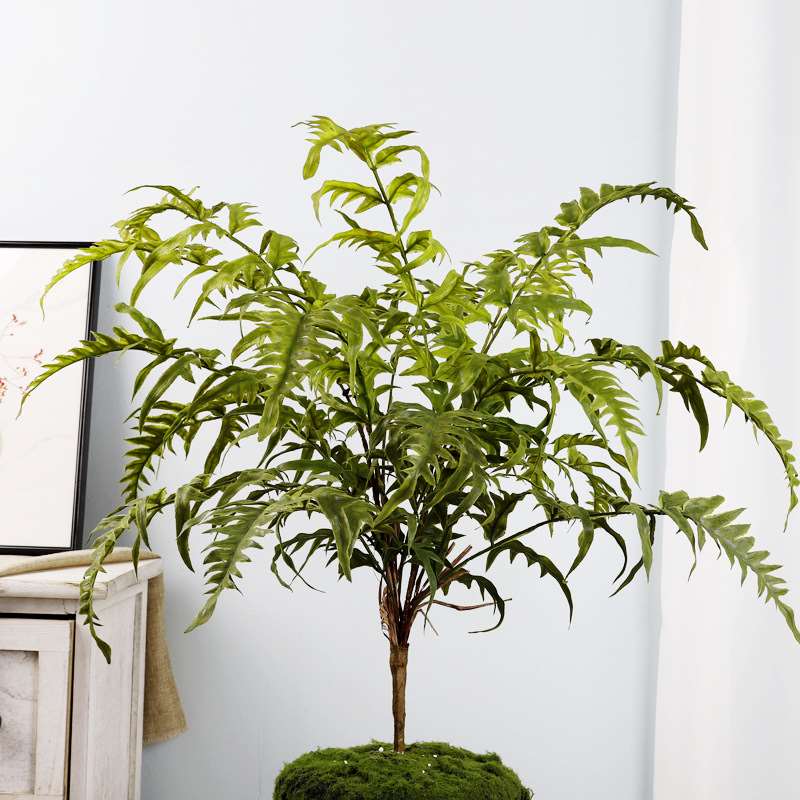Simulation green plant fern Persian fern large leaf fern liv