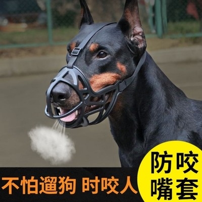 宠物狗嘴套防咬防乱吃狗卡斯罗防叫器止吠罩中小大型犬嘴罩防捡食