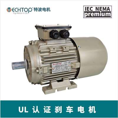 磨刷马达 TECHTOP T3CRB90S-6 0.8KW 磨板机专用电机 UL/CSA认证