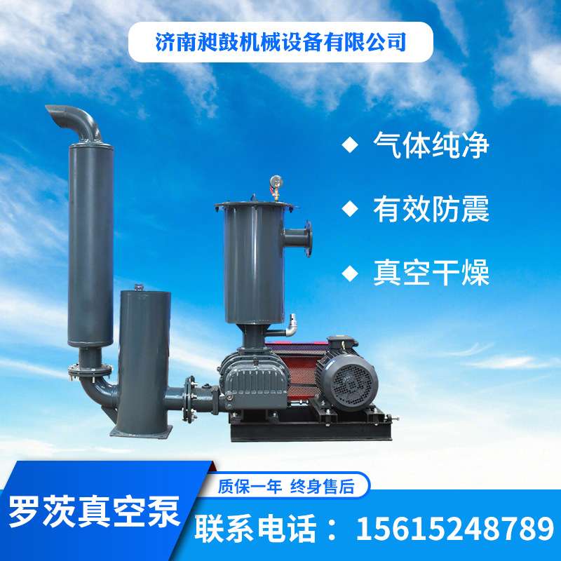 罗茨真空泵 水产养殖污水处理低噪音负压输送  罗茨真空泵