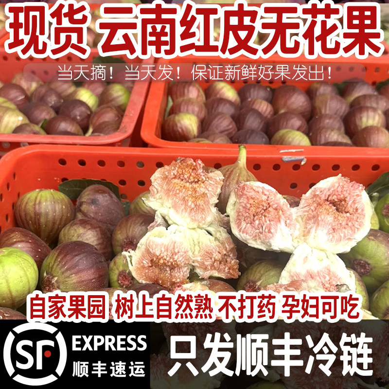 云南新鲜无花果现摘现发顺丰包邮 无花果软糯糖包子孕妇水果整箱,水产肉类/新鲜蔬果/熟食,无花果,淘宝优惠券,粉丝福利购,淘宝优惠卷