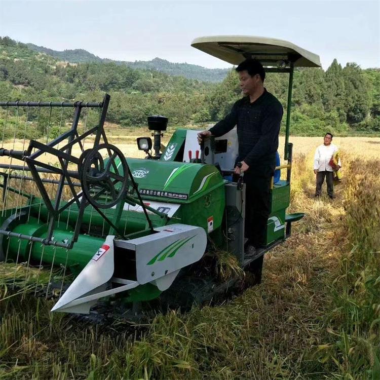 家用带仓自走式割稻机柴油全自动小型履带式水稻小麦联合收割机