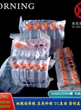 康宁430639 430641 431080 431082细胞培养瓶T25 T75 T175 T225