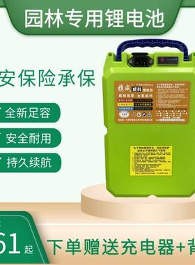 充电式24v48v锂电池采茶机水泵电锯通用42ah12ah30ah大容量割草机