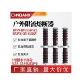 35KV RXWO 0.5 10A陶瓷PT保护高压限流熔断器40.5KV RW9 RW10