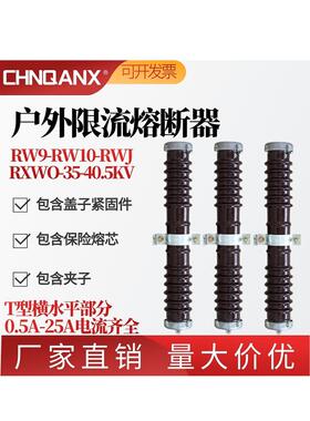 RW9/RW10/RXWO-35KV/0.5-1-2-10A陶瓷PT保护高压限流熔断器40.5KV