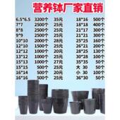 营养钵育苗盆 营养杯育苗杯一次性塑料花盆大号 加厚育苗袋营养袋